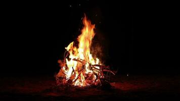 noite fogueira queimaduras dentro a Sombrio floresta lento movimento. flamejante fogueira às período noturno. Lugar, colocar para fogueira. fogo Cova ao ar livre, madeira em fogo, vôo faíscas e fumaça estático tiro video