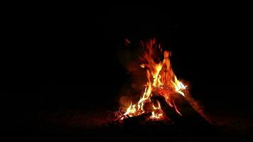 noite fogueira queimaduras dentro a Sombrio floresta isolado em Preto. flamejante fogueira às período noturno. Lugar, colocar para fogueira. fogo Cova ao ar livre, madeira em fogo, vôo faíscas e fumaça lento movimento video