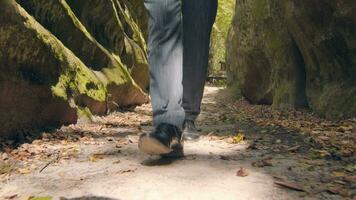 Legs of a man walking in the park or in the woods in sacks and pants. Businessman walks in the park. video