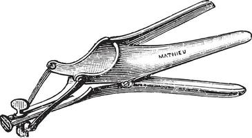 Speculum three valves. vintage engraving. vector