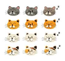 cat character in various action poses vector illustration