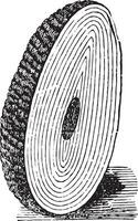 Calculation of the bladder form of a central core and a pluralit vector