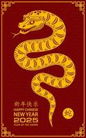 Happy Chinese new year 2025 Zodiac sign, year of the Snake vector