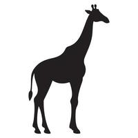 A black Silhouette giraffe animal vector