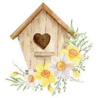 Watercolor illustration of wood birdhouse and yellow and white daffodils. Hand painted illustration with spring flowers vector