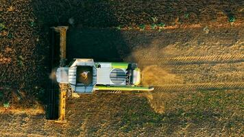Harvesting Soybeans, Aerila top view A combine harvester on a field harvesting soybeans. video