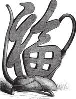 Chinese metal teapot, vintage engraving. vector