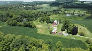 Aerial view Old small farm and fields with amazing nature around. A bird'seye view of the landscape and the farm. video