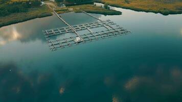 pescado granja en lago agricultura recintos con Fresco agua dónde trucha, carpa o salmón es elevado comercialmente para alimento. desde un aves ojo ver a puesta de sol video