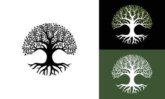 vector árbol de vida en blanco, negro y verde antecedentes