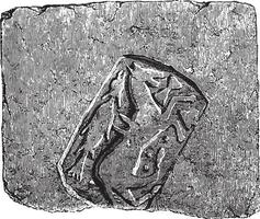 arcilla refractaria loseta muy duro, encontró en excavaciones de el abadía de sainte colombo les sentido, yonne, noveno siglo, Clásico grabado. vector