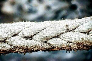 a close up of a rope with a knot photo