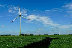 wind turbines in a field with a blue sky photo