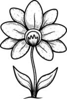 ilustración flor aislado en blanco vector