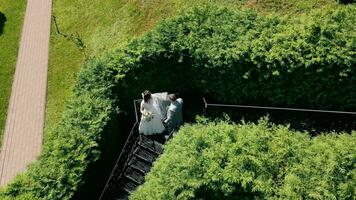 pasgetrouwden staan Aan de stappen in de park en knuffel. de pasgetrouwden afgelegen zich in een knus plaats van de merk. video