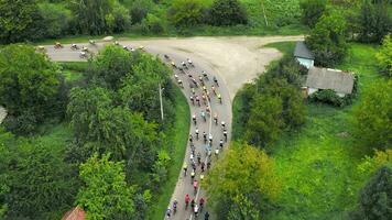 aéreo ver un pelotón de ciclistas entra un agudo giro en el campo. superar el maratón distancia en un bicicleta por un grupo de ciclistas video