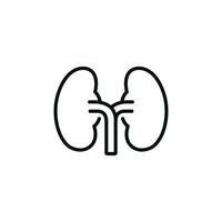 Kidney line icon isolated on white background vector