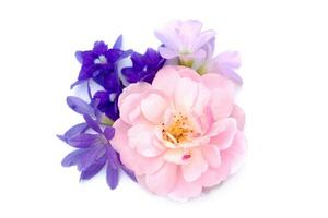 The bouquet of pink fairy rose,  Queen's wreath flower and Oxalis flower. photo