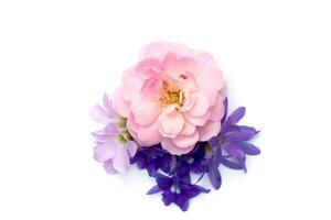 The bouquet of pink fairy rose,  Queen's wreath flower and Oxalis flower. photo
