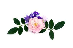 The bouquet of pink fairy rose,  Queen's wreath flower and Oxalis flower. photo