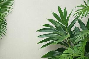 AI generated Empty wall background with tropical leaves photo