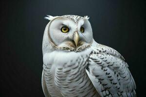 AI generated Owl. Pro Photo