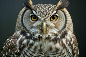 AI generated Owl. Pro Photo