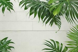 AI generated Empty wall background with tropical leaves photo