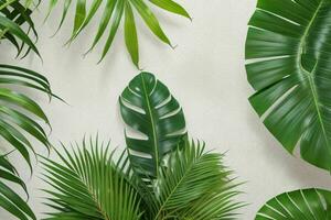 AI generated Empty wall background with tropical leaves. Pro Photo