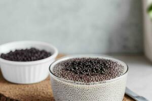 AI generated chia Pudding. Pro Photo