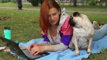 ragazza posa e digitando su il computer portatile su un' prato con sua carlino in giro video