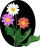 Vector illustration of violet white and pink daisy flowers with green leafs on white background.