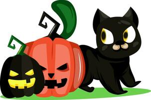 Two pumpkins and black cat vector illustration on white background.