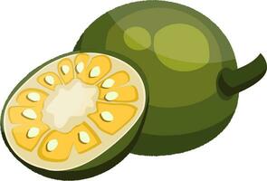 Green jackfruit cut in half vector illustration on white background.