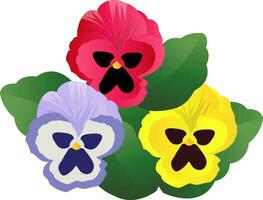 Vector illustration of blue pink and yellow pansy flowers with green leafs on white background.