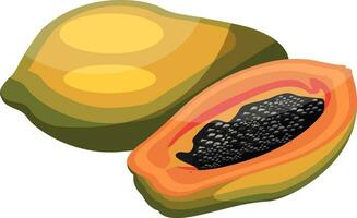 Cartoon of a green and yellow papaya a papaya cut in half with black seed vector illustration on white background.