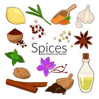 Hand drawn vector illustration of turmeric, cinnamon, anise, rosemary, mustard, pepper, cloves and mint. Perfect for use to create menus, packaging, patterns, prints.