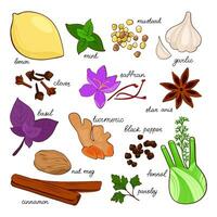 Hand drawn set of spices on white background. Vector illustration for culinary projects, branding, logo, menus, packaging, patterns, prints. Tumeric, cinnamon, saffron, anise, basil, fennel and other.