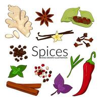 Spices and herbs. Hand drawn vector illustration. Ginger, cinnamon, vanilla, pepper, cloves and mint. Perfect for use to create culinary or cosmetic projects, menus, packaging, patterns, prints.