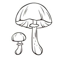 Autumn skullcap inedible mushroom in line art style. Poisonous plants sketch. Vector illustration isolated on a white background. Deadly fungus Galerina marginata.