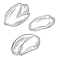 Pistachio icons line art style. Nuts in sketch, hand drawn style. Vector illustration isolated on white background.