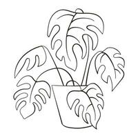 Monstera line art style. Monstera leaf line art. Contour drawing. Monstera house plant leaf sketch by hand drawing. vector