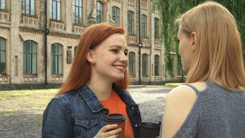 Two girls having a talk and drinking coffee video