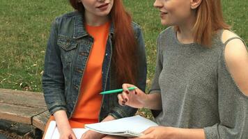 Two girls studying outdoors video