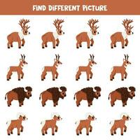 Find different animal in each row. Logical game for preschool kids. vector