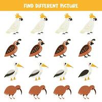 Find different bird in each row. Logical game for preschool kids. vector