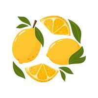 Whole and sliced lemons with leaves. Set of citrus sour fruits. Summer vitamin vector abstract illustration for banner, poster, flyer, banner, greeting card. Cartoon flat style.