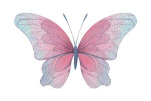 Butterfly are pink, blue, lilac, flying, delicate with wings. Hand drawn watercolor illustration. Isolated element on a white background, for design. Vector EPS