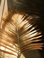 AI generated a palm leaf is shown in a reflection in the glass of a window photo