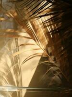 AI generated a palm leaf is shown in a reflection in the glass of a window photo